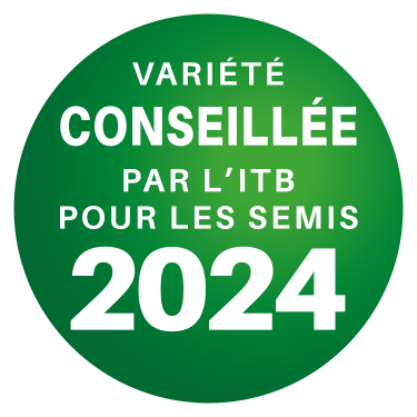 SV FRANCE Variété conseillée 2024