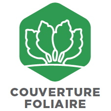 Couverture Foliaire