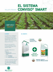 ﻿SESVanderHave - España ﻿semilla de remolacha azucarera - ﻿Folleto técnico ﻿﻿CONVISO® SMART