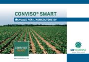 Sesvanderhave Italia seme di barbabietola da zucchero manuale per lagricoltore CONVISO SMART cover