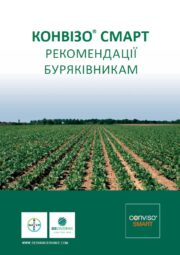 ﻿СЕСВандерХаве ﻿Молдавия ﻿семена сахарной свеклы - ﻿Рекомендації буряківникам ﻿﻿CONVISO® SMART