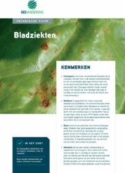 SES Vander Have Technical Leaflet Diseases Leaf diseases NL 2021