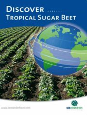 SES Vander Have Tropical Beet Brochure ENG