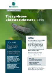 Sesvanderhave sugar beet disease technical leaflet SBR 2022
