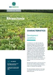 Sesvanderhave sugar beet disease technical leaflet rhizoctonia 2022