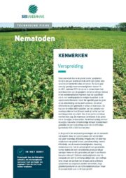 SESVanderHave Suikerbietzaad - Technische fiche ziektes - Nematoden BCA aaltjes