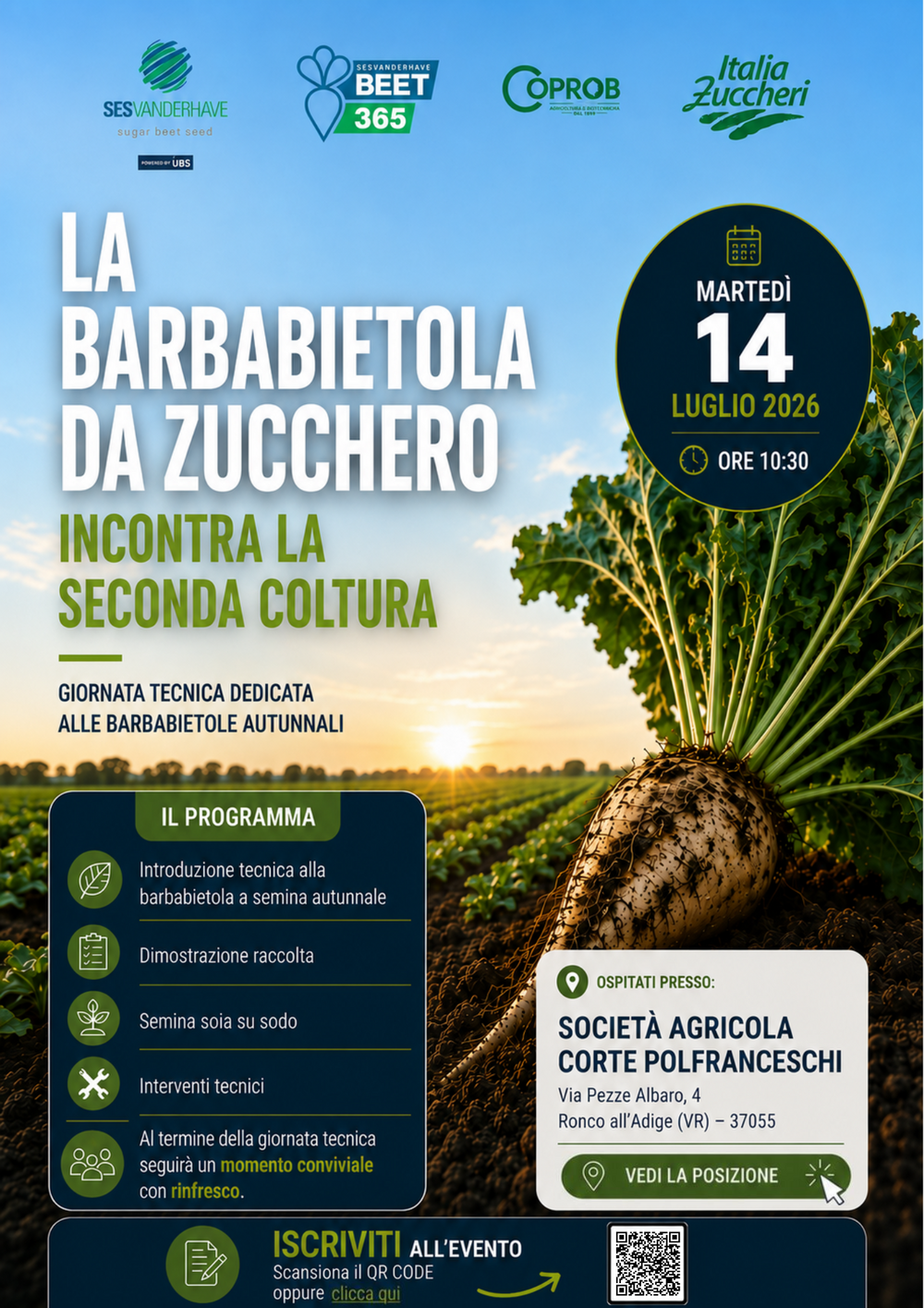 La barbabietola da zucchero incontra la seconda coltura 14 luglio 2026