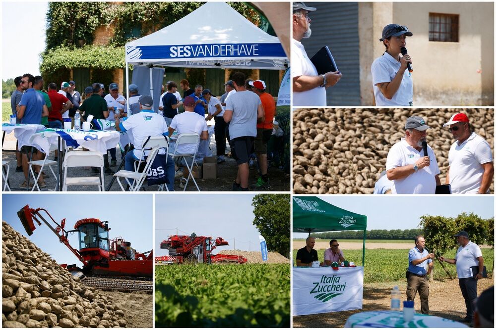 Collage foto evento 10 luglio