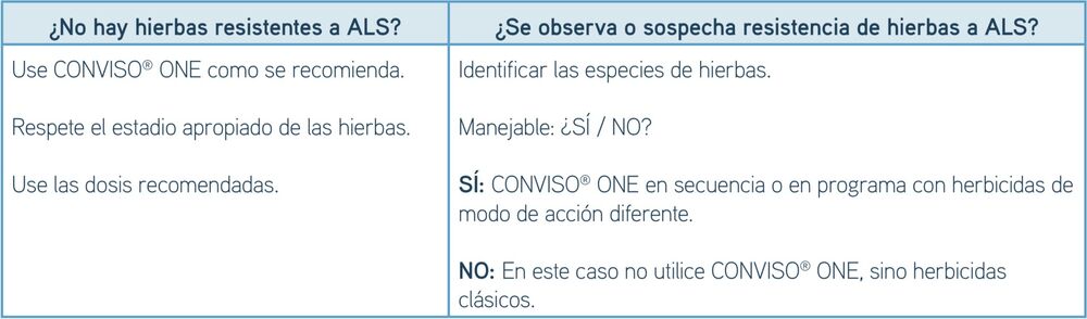 SESVanderhave España CONVISO® SMART manejoderesistecias estrategia