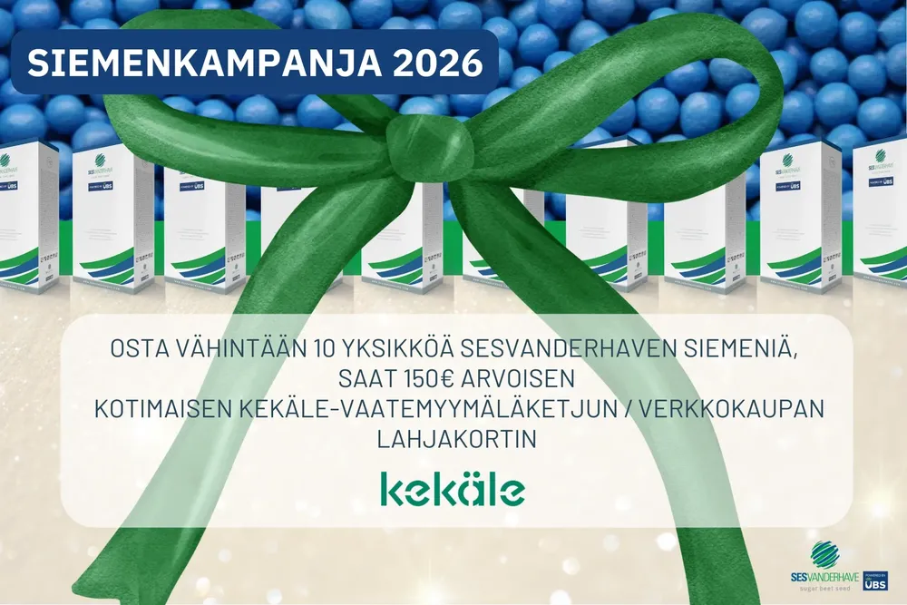 ISO 2026 KAMPPIS nettisivut