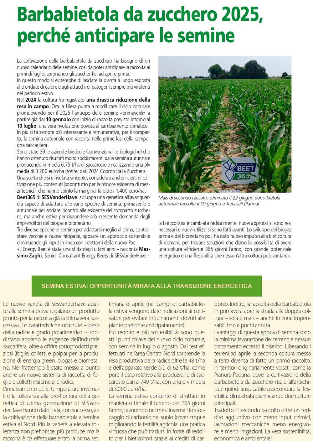ANB Publired 0125 txt page 0002