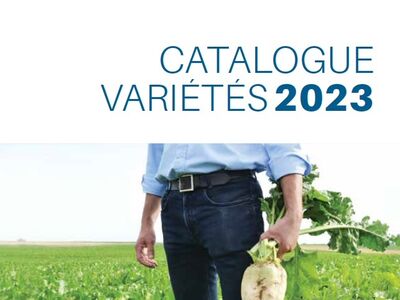 Sesvanderhave semences de betteraves sucrières Maroc MARBAR Catalogue variétés 2023