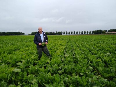 Sesvanderhave nederland proefveld wim virtual tour