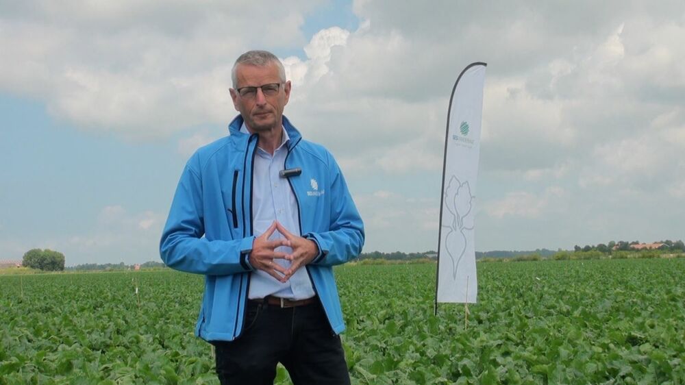 SESVanderHave Nederland proefveld suikerbieten Fokke_Jan
