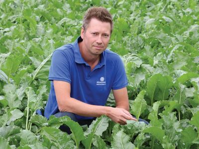 SESVanderHave Nederland Nieuws Vergelinsgziekte suikerbieten Jan Sels