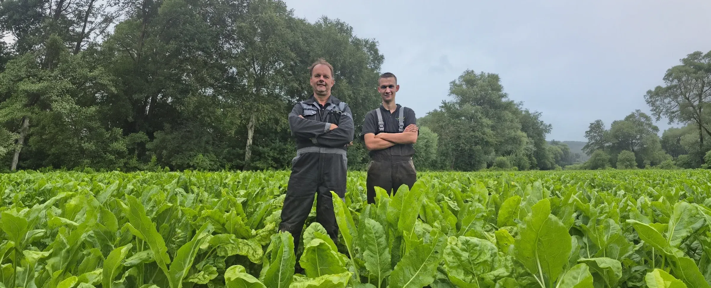 SES Vander Have Harm Gerry Kaput Testimonial LINCOLN suikerbietenzaad rassenkeuze COSUN