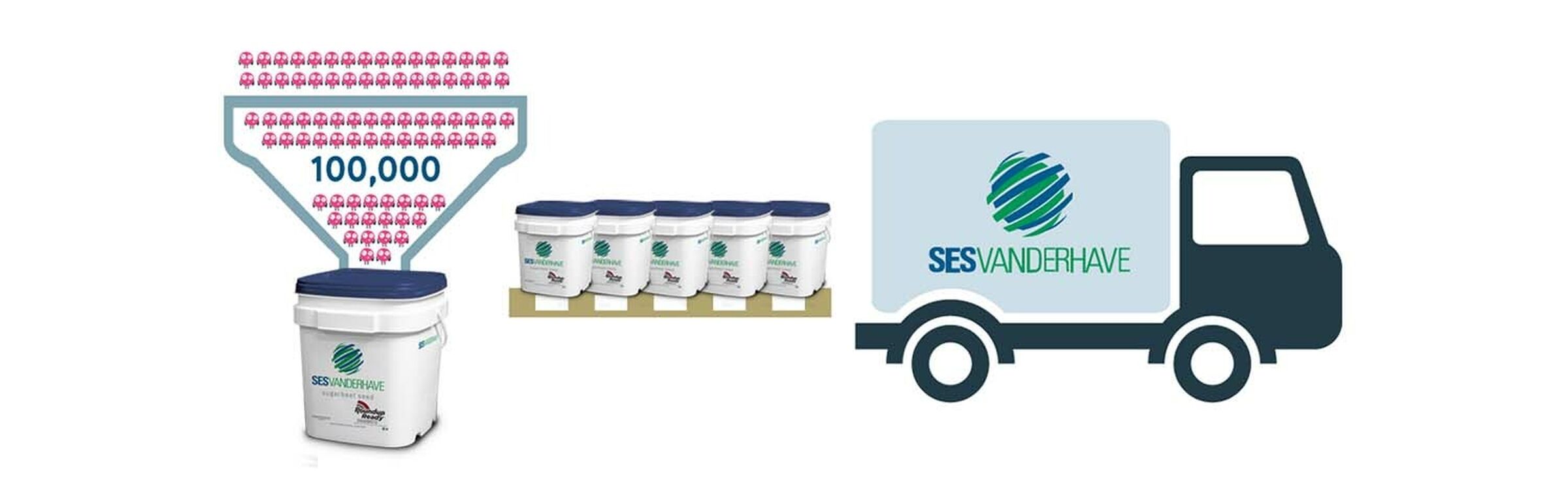 Sesvanderhave usa seed processing packaging