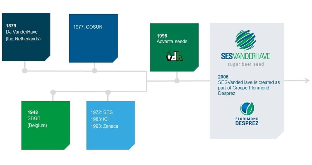 Sesvanderhave sugar beet seeds company history timeline