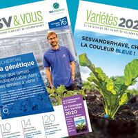 Sesvanderhave france esprit planteur cover catalogue svvous