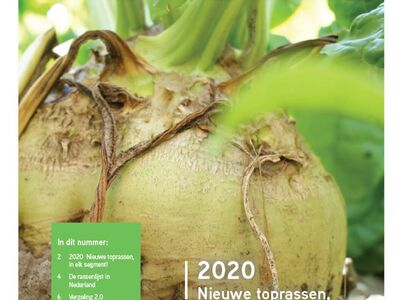 Sesvanderhave nederland news bietenmagazine 2019 2020