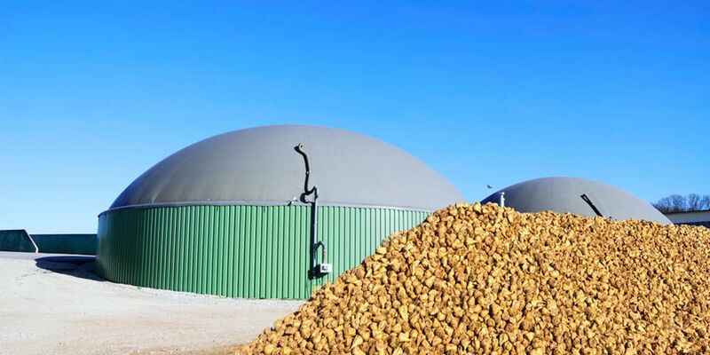 SESVanderHave Zuckerrübensaatgut - Innovation - Zuckerrübensilo Biogasanlage
