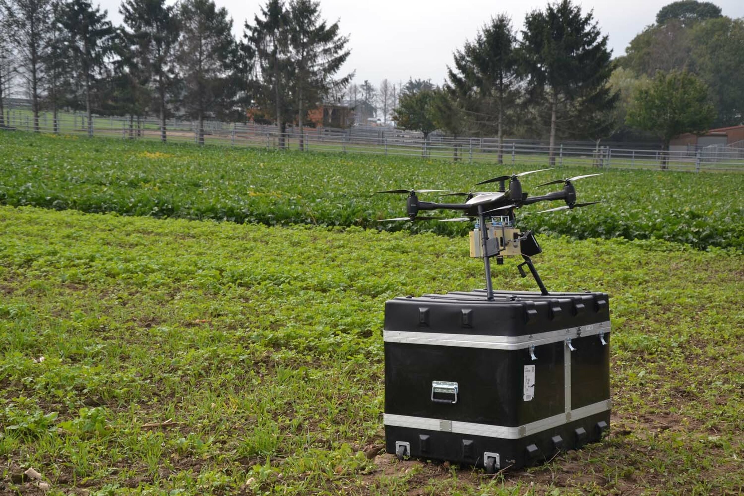 Sesvanderhave sugar beet varieties plant breeding phenotyping beetphen drone