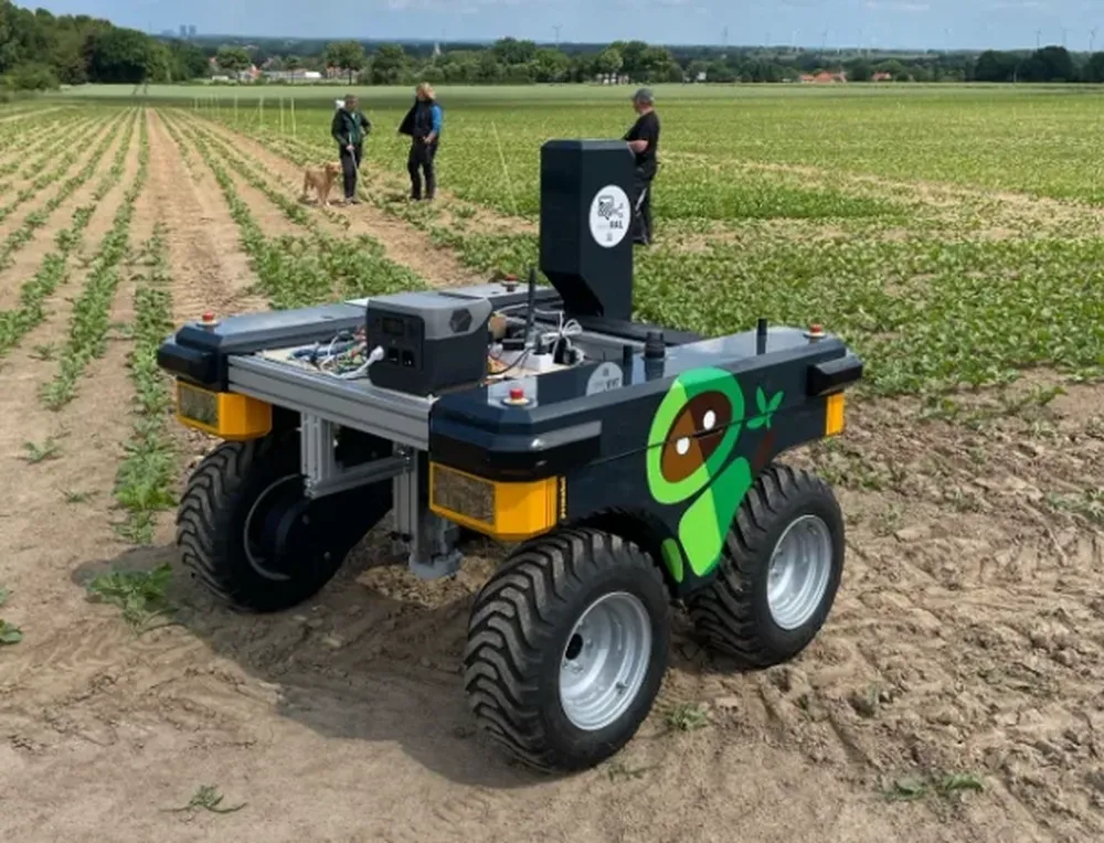 United Beet Seeds UBS UBS Bot Field trials close up