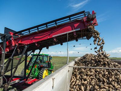 SESVanderHave suikerbietenzaad - suikerbieten rooier, oogst bietenhoop, rode rooimachine