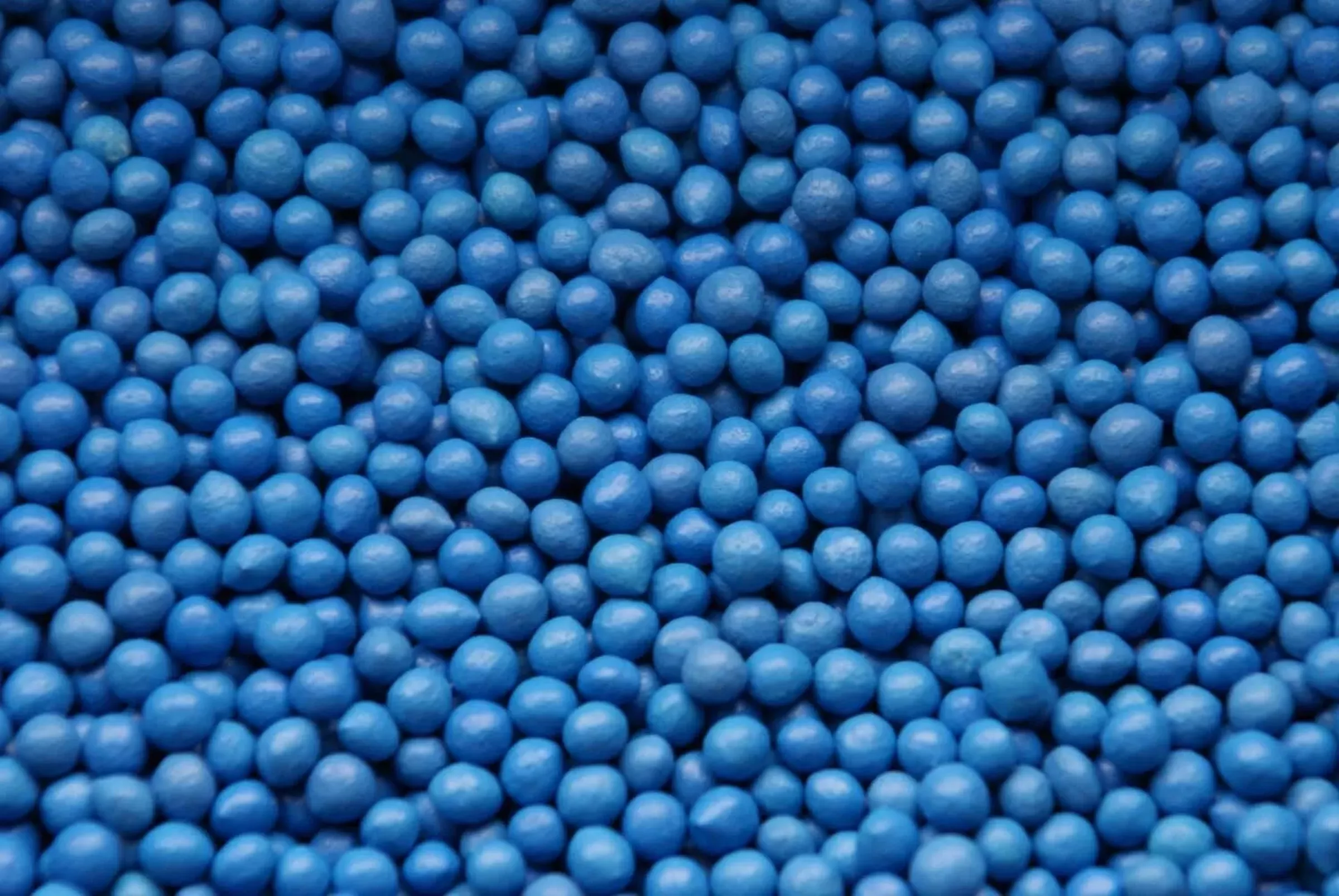 SESVanderHave semences de betteraves sucrières - semences bleues, graines bleues