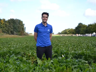 Sesvanderhave sugar beet seed Breeding Breeder in sugar beet field David Eyland research science