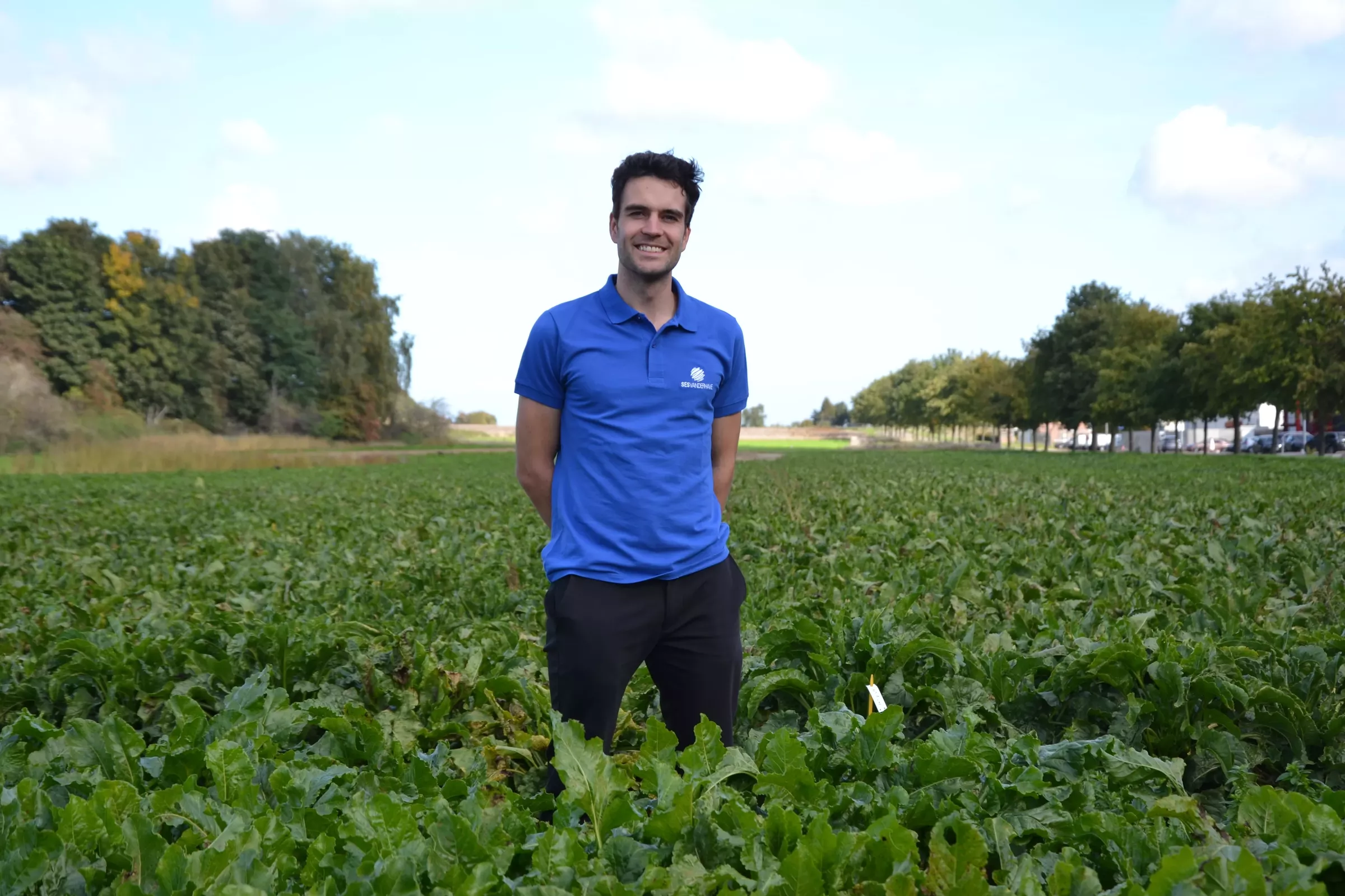 Sesvanderhave sugar beet seed Breeding Breeder in sugar beet field David Eyland research science