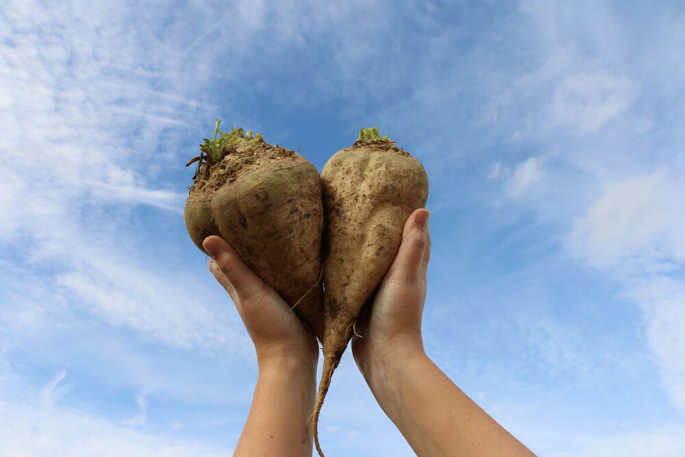 Beets held together, heart shape, hands in the air