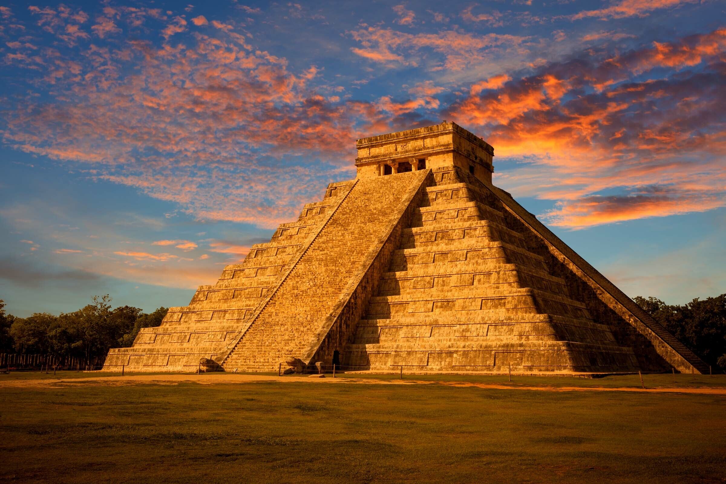 SESVanderHave - seme di barbabietola da zucchero varietà YUCATAN