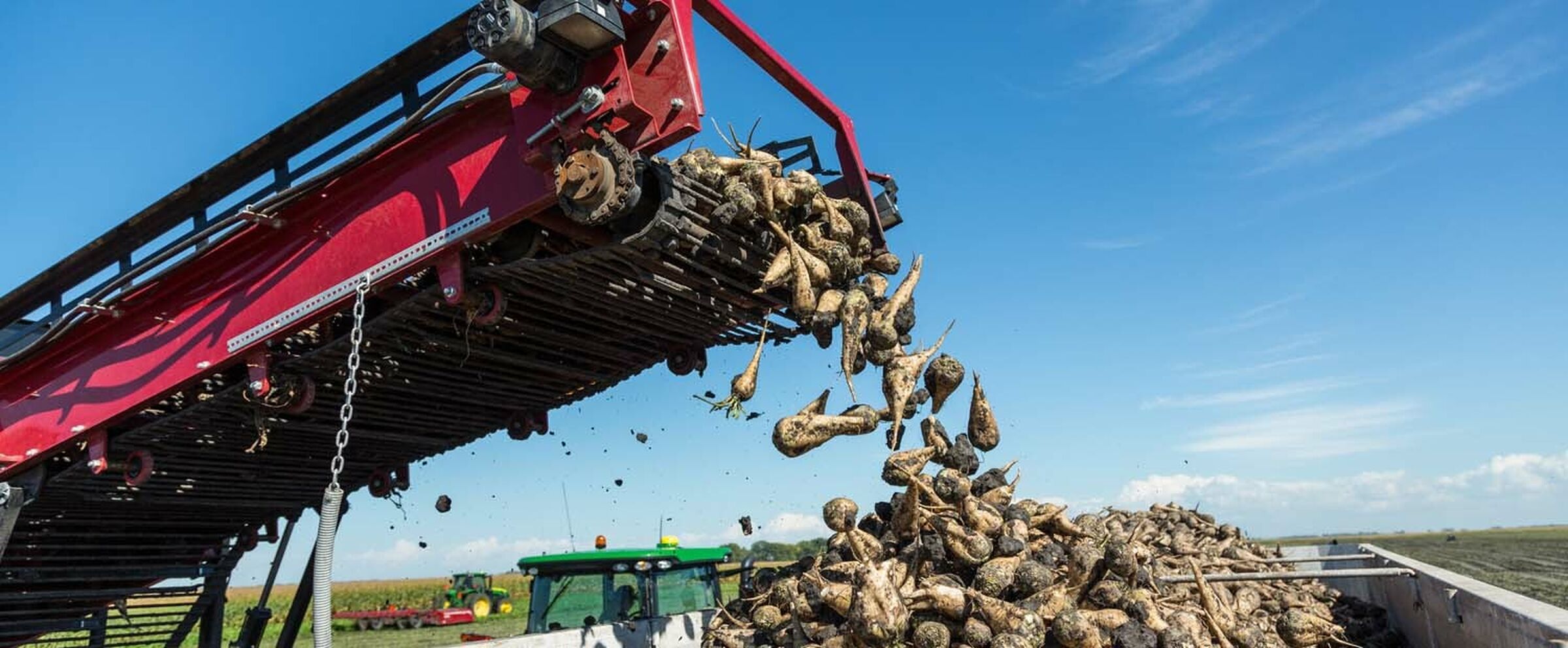SESVanderHave USA Sugarbeet Seed Varieties ACSC