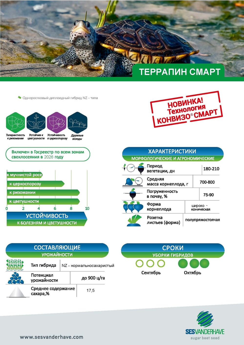 Sesvanderhave Беларусь Наши гибриды Террапин Смарт