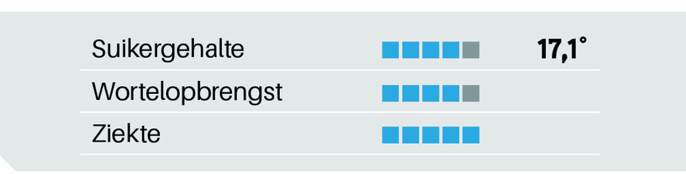 Sesvanderhave belgië bietenzaad Rassenfiche 2025 KIPUNJI SMART