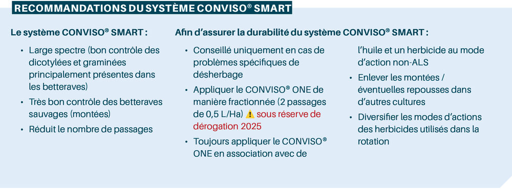 Sesvanderhave belgique semences de betteraves fiche varietale 2025 recommandations CONVISO SMART