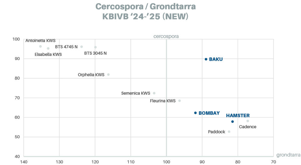 Sesvanderhave belgië bietenzaad Rassenfiche 2026 BAKU chart