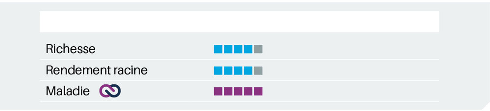 Sesvanderhave belgique semences de betteraves Fiche varietale 2026 PONTIAC SMART chart