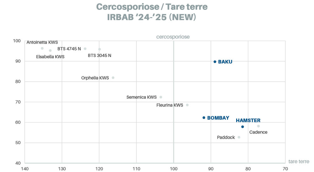 Sesvanderhave belgique semences de betteraves Fiche varietale 2026 BAKU graph