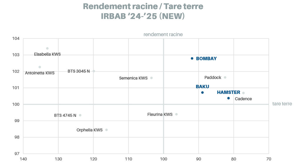 Sesvanderhave belgique semences de betteraves Fiche varietale 2026 BOMBAY graph