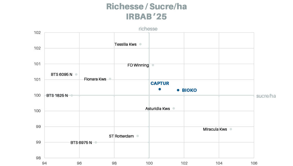 Sesvanderhave belgique semences de betteraves Fiche varietale 2026 BIOKO graph