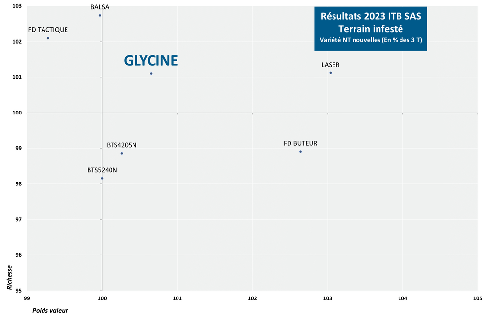 SES Vander Have France semences de betteraves sucrières variétés graphique rhizomanie Glycine infeste 2023