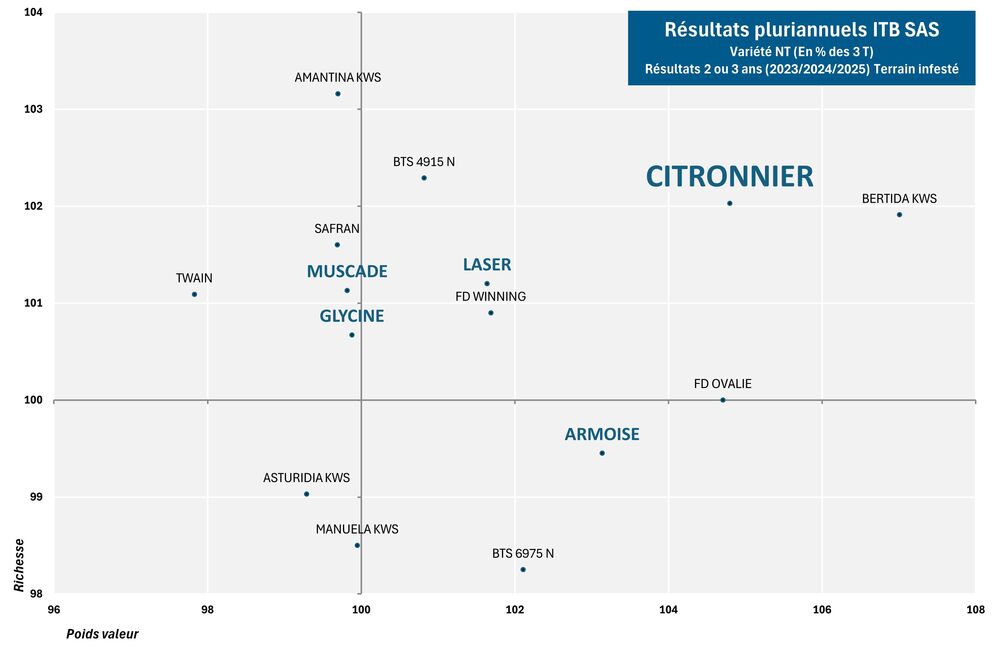 SES Vander Have France semence de betteraves sucrière graphique nématodes CITRONNIER