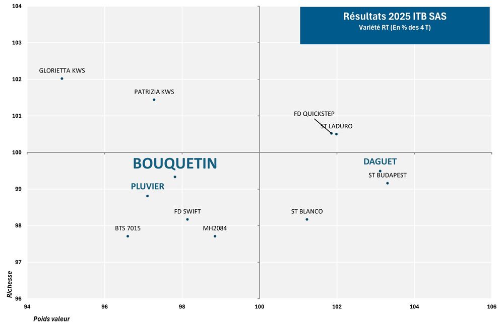 SES Vander Have France semence de betteraves sucrière graphique rhizomanie BOUQUETIN