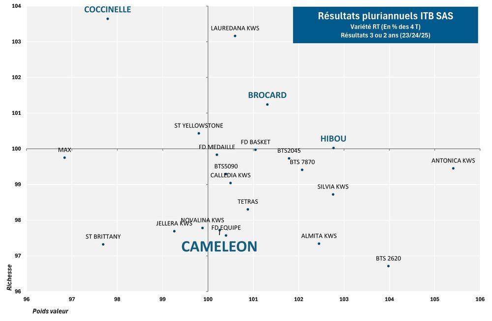 SES Vander Have France semence de betteraves sucrière graphique rhizomanie CAMELEON
