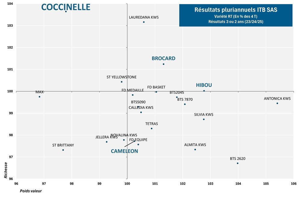 SES Vander Have France semence de betteraves sucrière graphique rhizomanie COCCINELLE