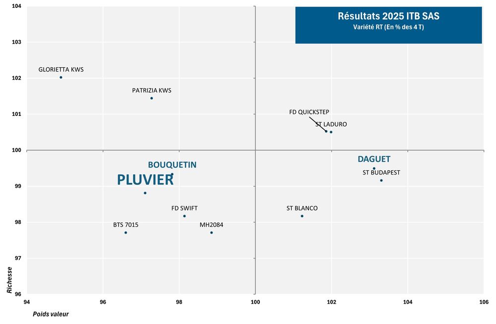 SES Vander Have France semence de betteraves sucrière graphique rhizomanie PLUVIER
