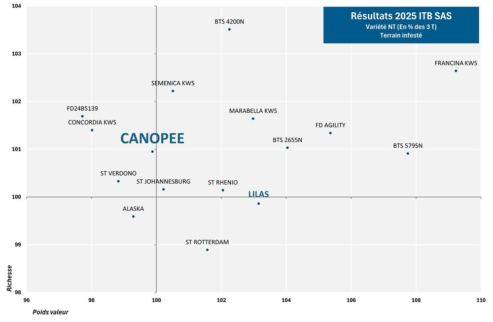 SES Vander Have France semence de betteraves sucrière graphique nématodes CANOPEE