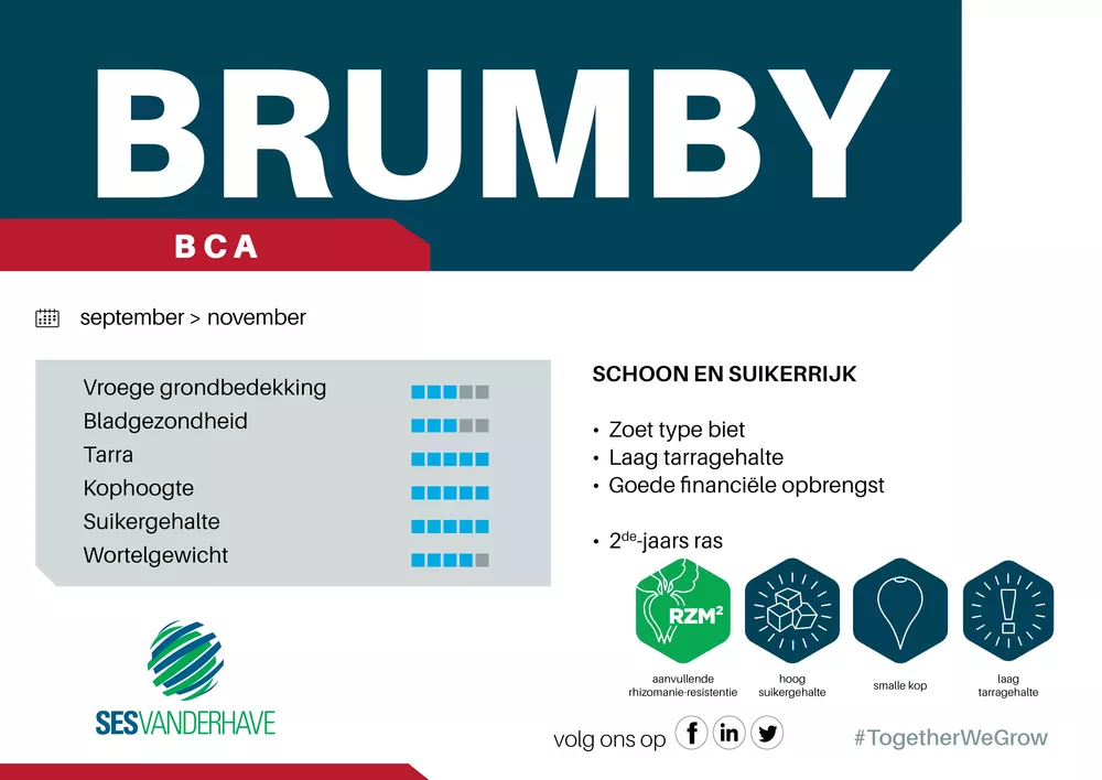 Sesvanderhave Nederland infoborden veldpanelen BRUMBY